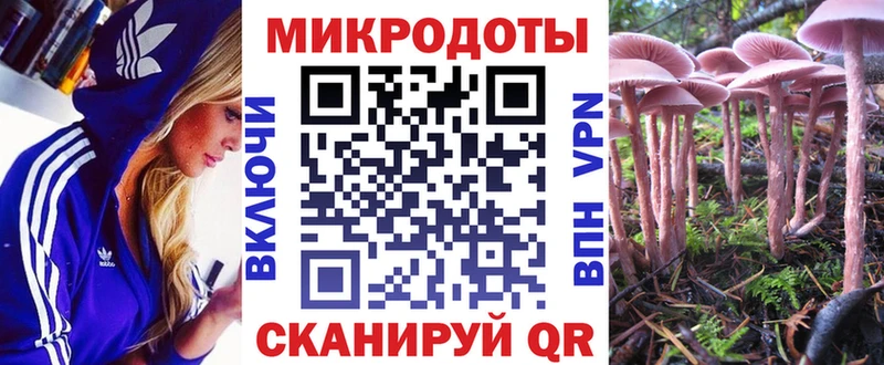Галлюциногенные грибы мухоморы площадка какой сайт Зверево